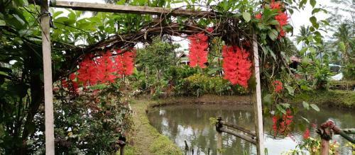 Hostal Talaga Tomohon