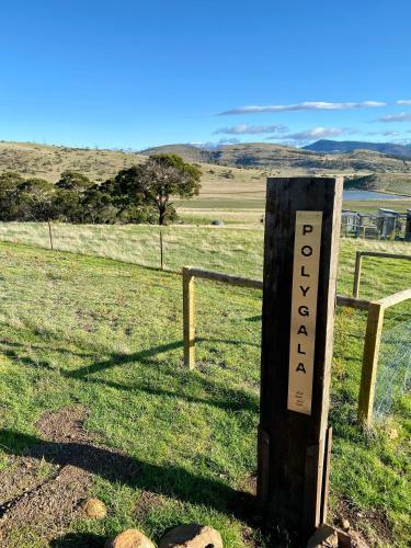 Aquila Glamping