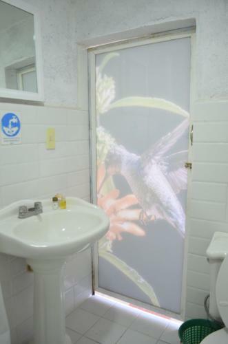 Vicalis Hotel, Villas Y Glamping