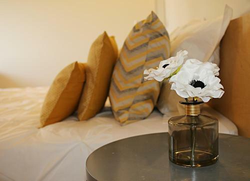 Apartamento Casa Capit�o