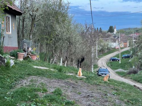 Agroturismo Casa Schnajder