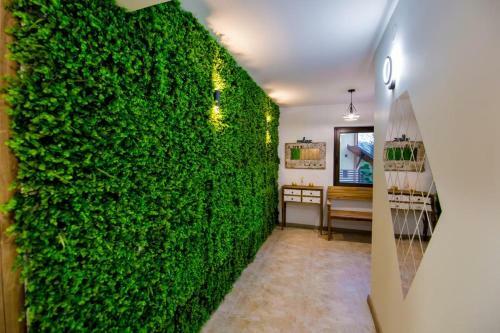 Hostal Pensiunea Tressor