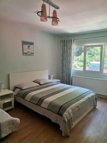 Apartamento Montana Sl?nic