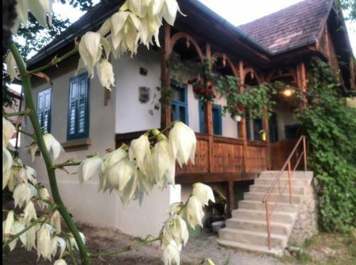 Hostal Rustic Vend�gh�z