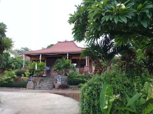 Villa Eliska Sari Sumberkima