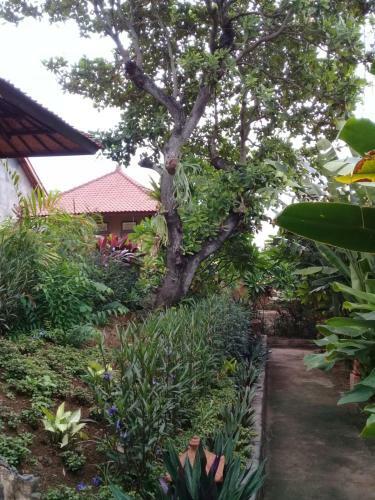 Villa Eliska Sari Sumberkima