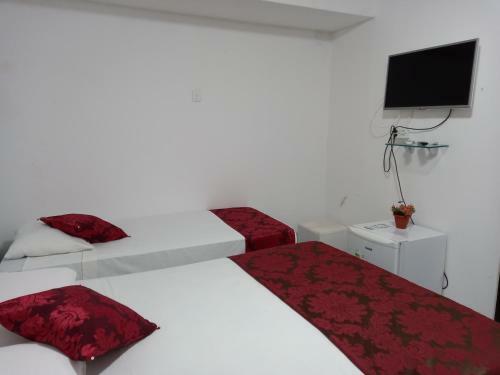 Hotel Pousada Aconchego Do Tamba�