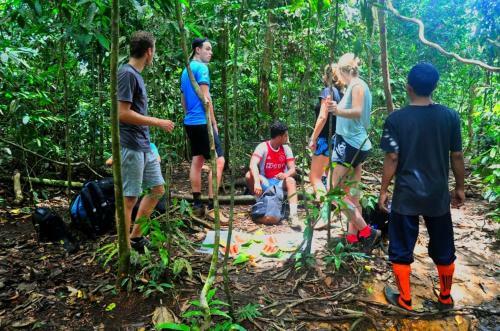 Bukit Lawang-guesthouse