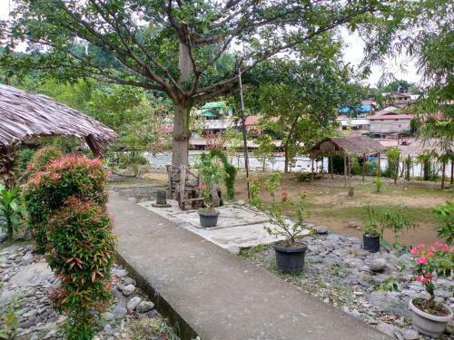 Hostal Jungle River Guesthouse