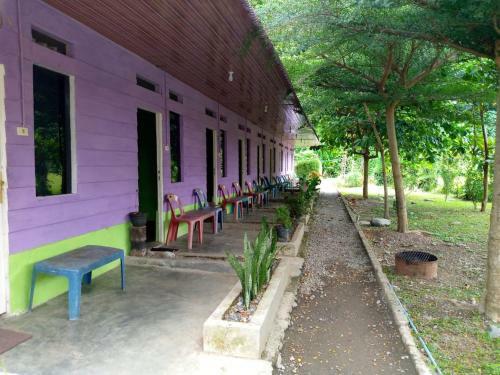 Hostal Jungle River Guesthouse