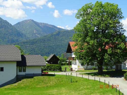 Apartment Komar