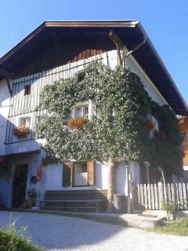 Apartamento Ferienwohnung J�rgenhof