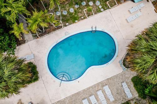 Tropical Haven