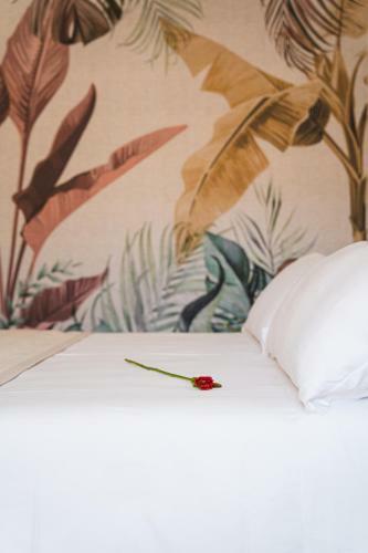 Bed & Breakfast Olea Relais