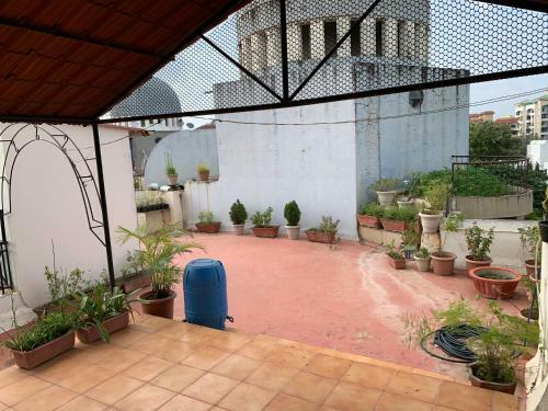 Hostal Green View Apartment