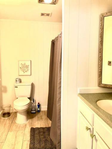 Tiny House 1 Cottage Downtown Mt. Dora Location