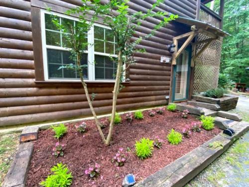 Lazy Springs Cabin