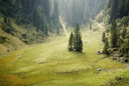 Posada Stubn In Der Frasdorfer H�tte