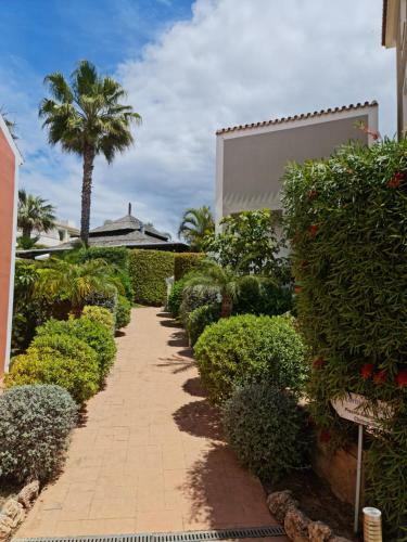 Cortijo Del Mar