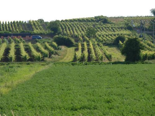 Hostal Penzion Kratochv�l