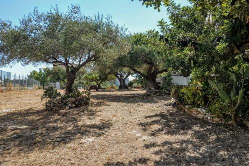Apartment Amatista
