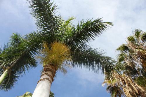 Apartamento Puerto De Mogan Harbour 371