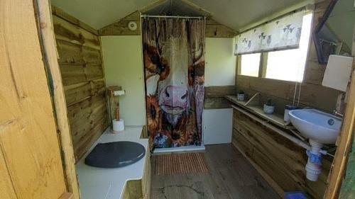 Ffos Wilkin Glamping