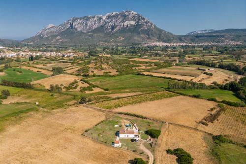 Dommos Il Giunco Country Villa