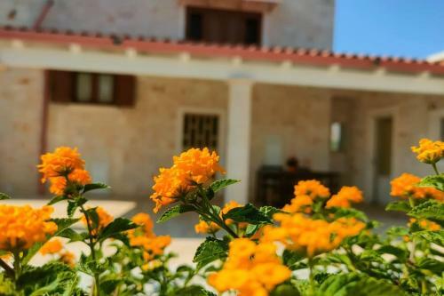 Apartamento Dimora Nonno Lilicchio