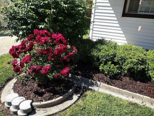 Cc3 Presents Suburban Nites Entire Quad Level Home