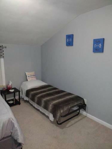 Cc3 Presents Suburban Nites Entire Quad Level Home