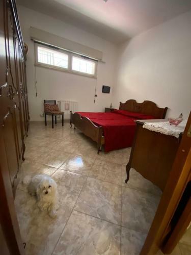 Apartamento Casa Jolie