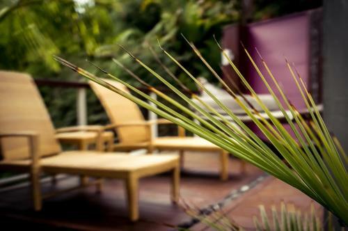 Apartamentos Sanctuary Palms
