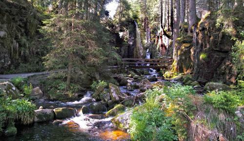 Apartamento B2 Schwarzwald-ferienwohnung