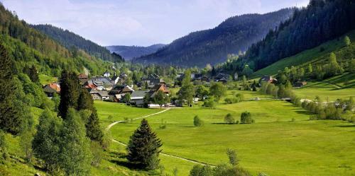 Apartamento B4 Schwarzwald-fewo An Der Alb