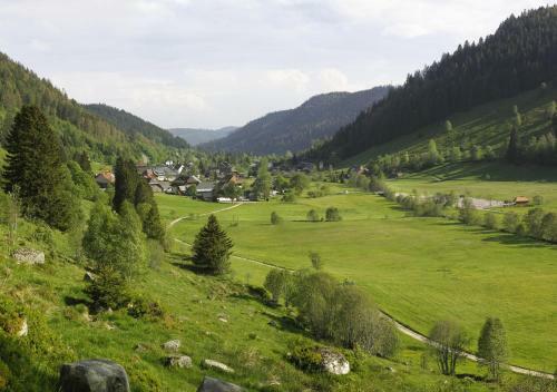 Apartamento B3 Ferienwohnubg Im Schwarzwald