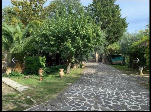 Villa Vacanze Floriana