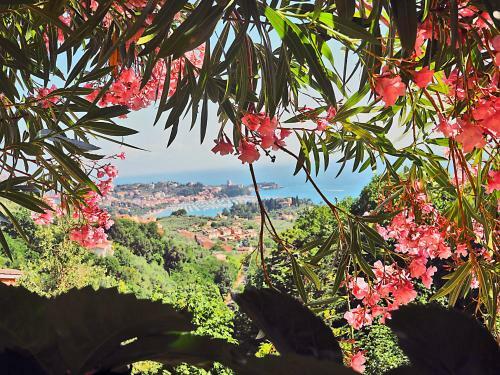 Apartamento C� Sea