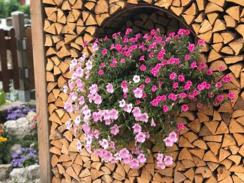 Apartamento Appartamento Al Tabi� Pizal
