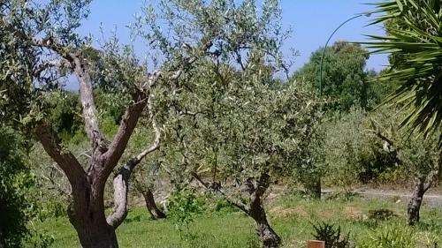 Bed & Breakfast La Landrigga