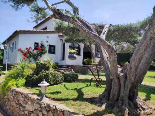 Aires D�emporda