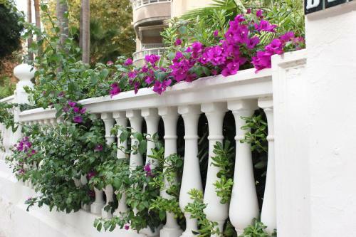 Apartamento Sol Y Sol