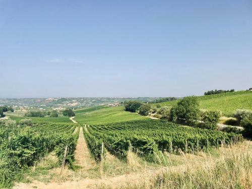Bed & Breakfast Abruzzo Relaction