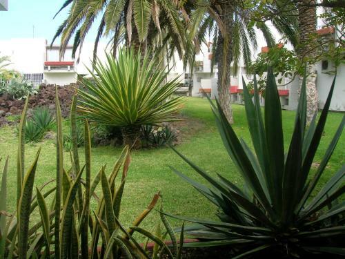 Apartamento Primavera 55