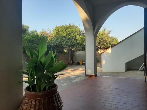 Apartamento Casa Agave