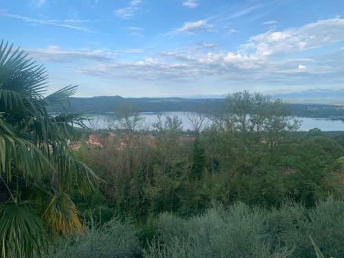 Bed & Breakfast Bouganville