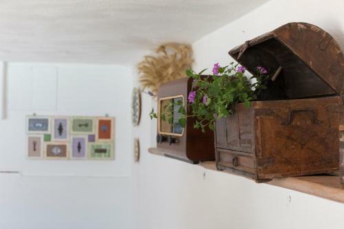 Amore Rentals - Villa Venus