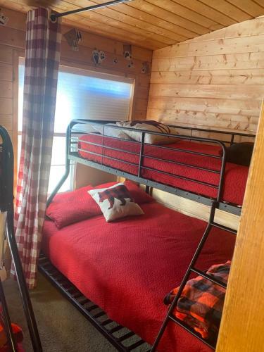 Mama Bear Cabin At Bear Family Haven
