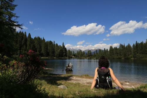 Apartamento Residence Alpenrose