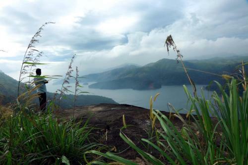 Villa Olivia Homestay Idukki